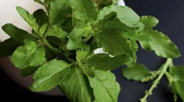 garnishing-instructions-image